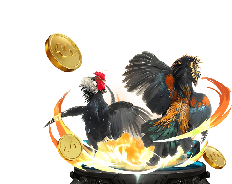 Biểu đồ xu hướng phát triển ngành đá gà trực tuyến